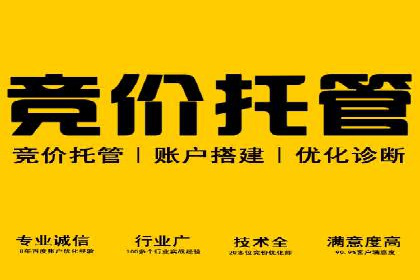 SEM托管公司成功案例：提升品牌曝光率的秘诀